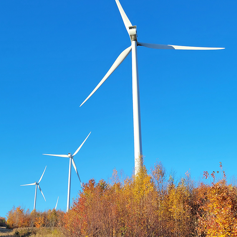 Windmills against blue sky with fall foliage